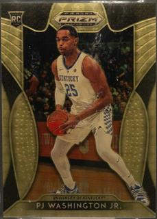 PJ Washington Jr.