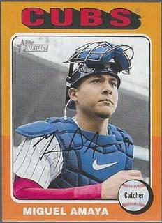 Miguel Amaya