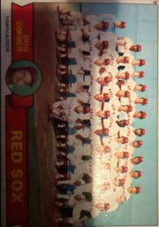 Boston Red Sox / Don Zimmer