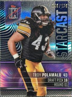 Troy Polamalu