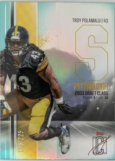 Troy Polamalu