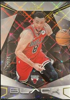 Zach LaVine