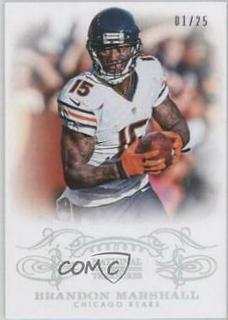 Brandon Marshall