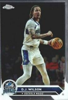 D.J. Wilson