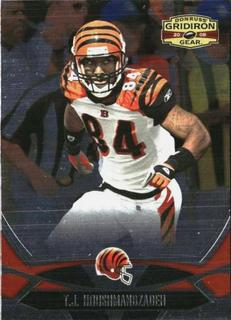 T.J. Houshmandzadeh