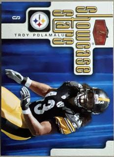 Troy Polamalu
