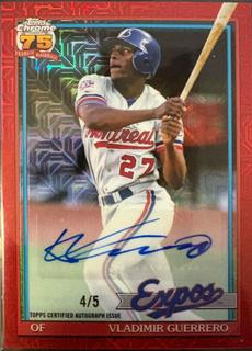 Vladimir Guerrero