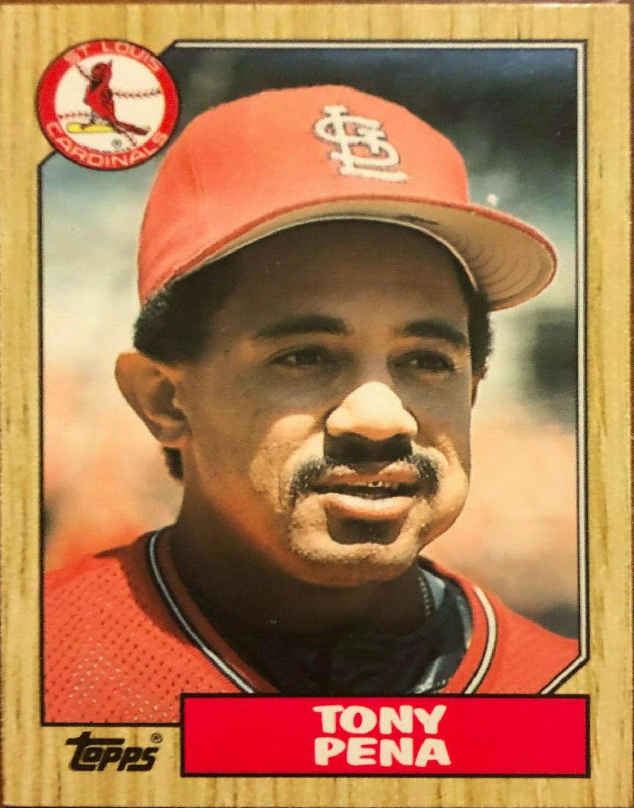 Tony Pena #95T