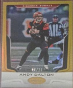 Andy Dalton