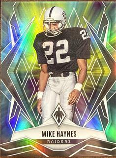 Mike Haynes