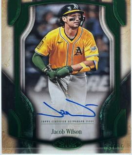 Jacob Wilson