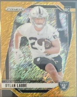 Dylan Laube