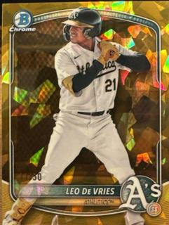 Leo De Vries