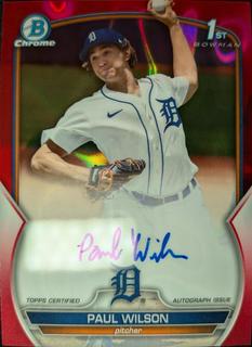 Paul Wilson