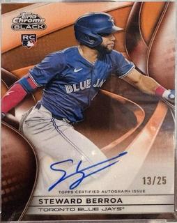 Steward Berroa