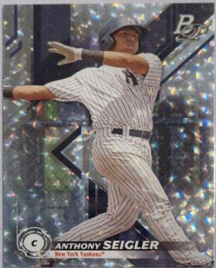 Anthony Seigler [Ice] #TOP-25
