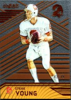 Steve Young