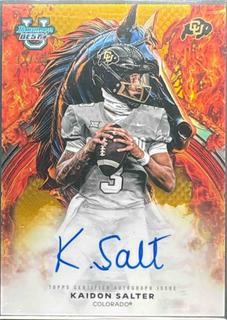 Kaidon Salter