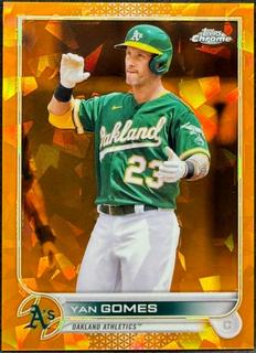 Yan Gomes