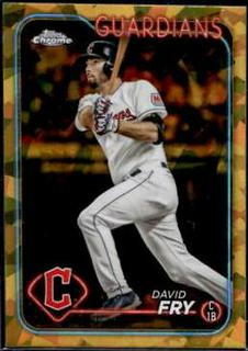 David Fry