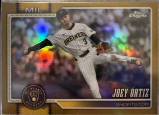 Joey Ortiz