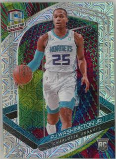 PJ Washington Jr.