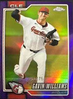 Gavin Williams
