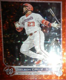 Nelson Cruz