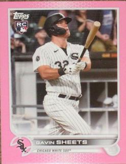 Gavin Sheets