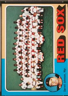 Red Sox Team