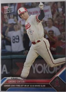 Shohei Ohtani