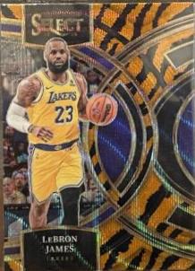 LeBron James
