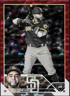 Nelson Cruz
