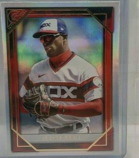Luis Robert