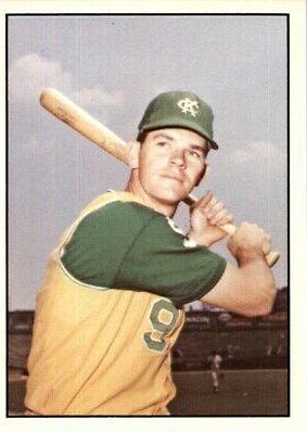 Billy Bryan #47 Baseball Cards 1978 TCMA the 1960's