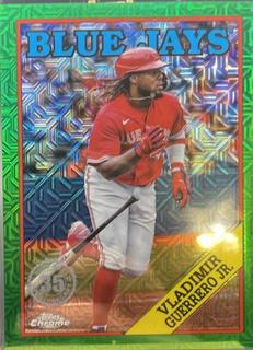 Vladimir Guerrero Jr.