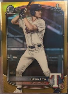 Gavin Fien