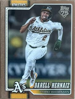 Darell Hernaiz