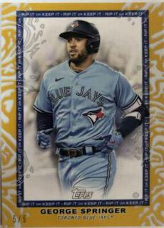 George Springer