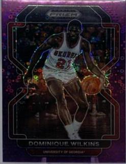 Dominique Wilkins