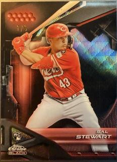 Sal Stewart