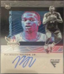 PJ Washington Jr.