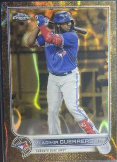 Vladimir Guerrero Jr.
