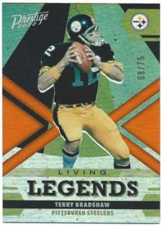 Terry Bradshaw