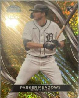 Parker Meadows