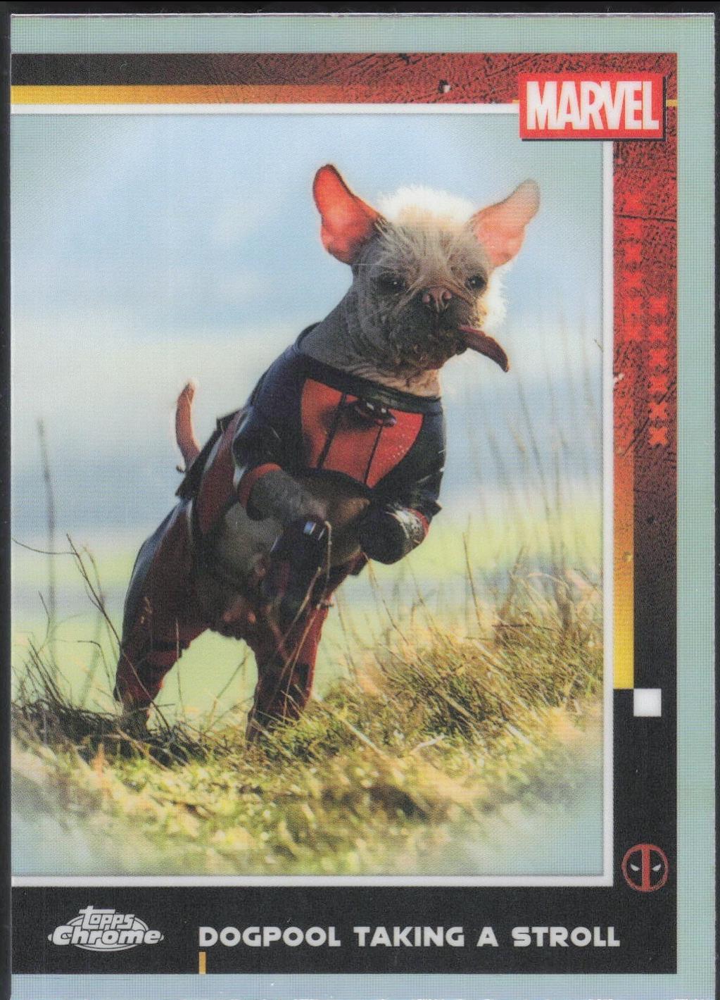 Dogpool Taking A Stroll [Dogpool Refractor] #73 Prices | Marvel 2025 ...