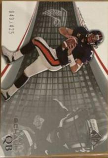 Matt Schaub