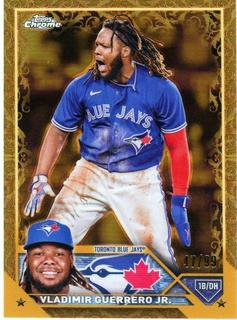 Vladimir Guerrero Jr.