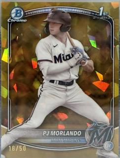 PJ Morlando
