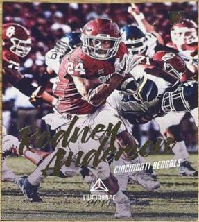 Rodney Anderson